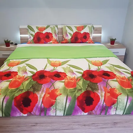 Rea & Deo Volente Apartment *
